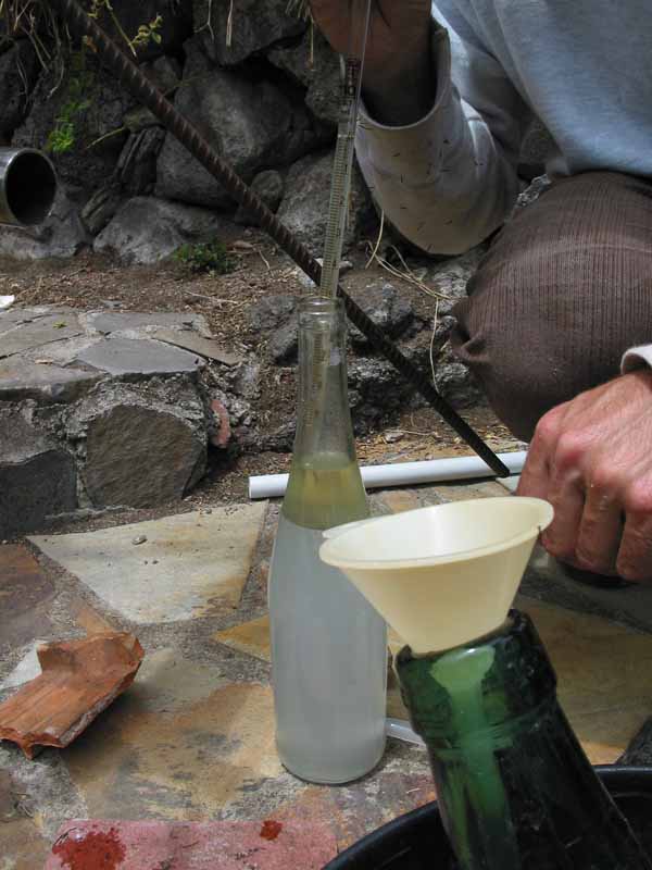 Lohn der harten Arbeit {o: