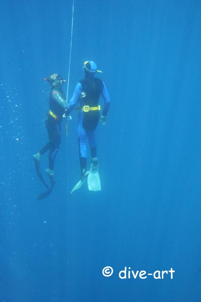 Tieftauchen als Buddyteam