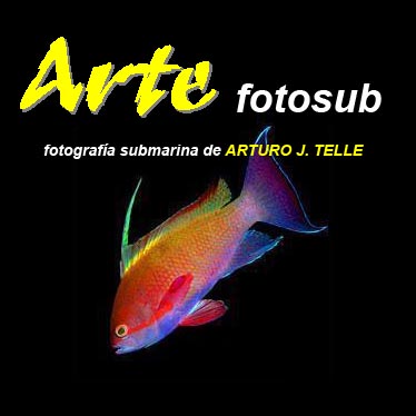 Arte fotosub