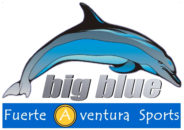 Big Blue Sports