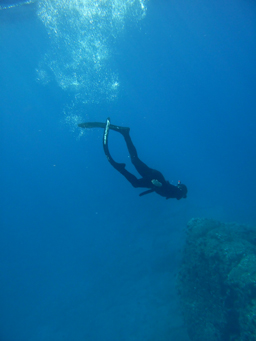 Apnoe Seminare Apnoe Seminare