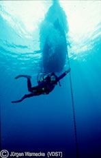 Taucher an Ankerleine